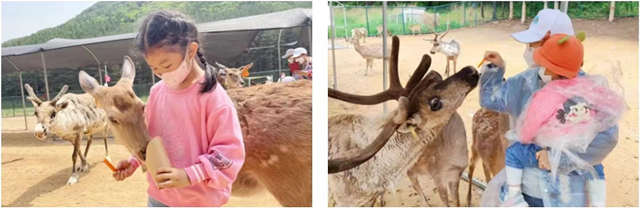 兒童節4.jpg 兒童節4.jpg